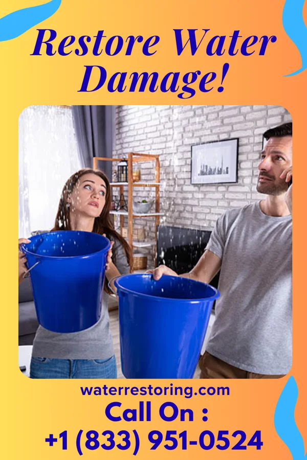 water restoration Pro Flood Mitigation Services Washingtonville