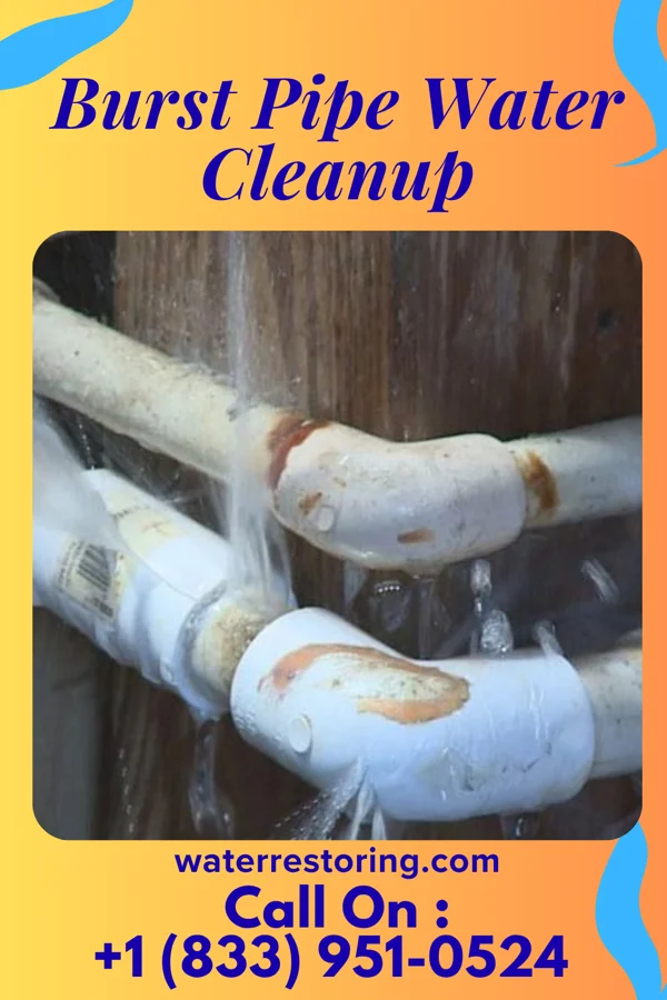 Burst Pipe Water Cleanup in Washingtonville, NY