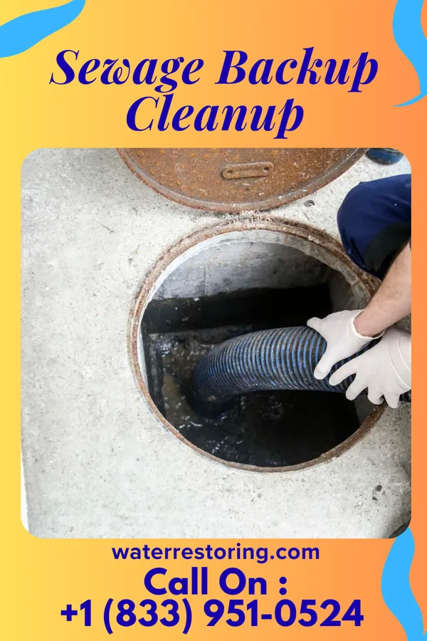 Sewage Backup Cleanup in Washingtonville, NY